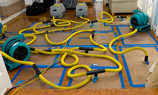 Professional Flood Damage Restoration technician working in Green Mountain Falls, CO